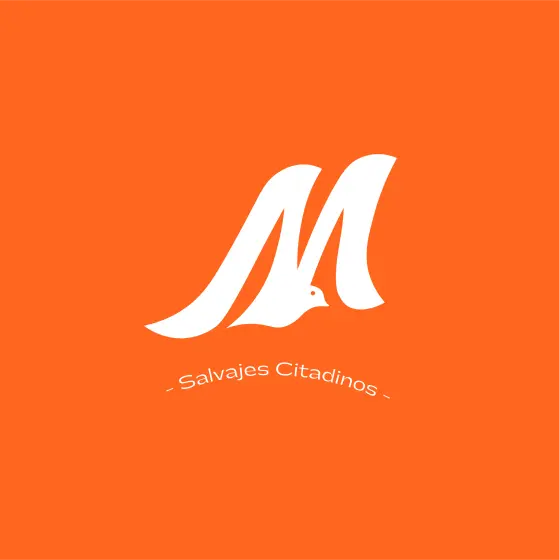 Diseño de isotipo de Macuira para una agencia de branding en Colombia