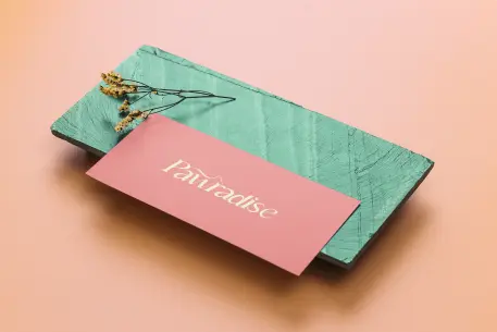 Carta de presentación del diseño de marca de Pawradise para una agencia de branding en Colombia