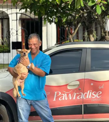 diseño de logo en vehiculo para manejo de redes de la marca pawradise
