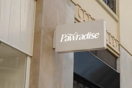 Anuncio de tienda de diseño de marca de Pawradise para una agencia de branding en Colombia