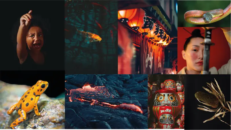 MoodBoard del diseño de marca de Piangú para una agencia de branding en Colombia